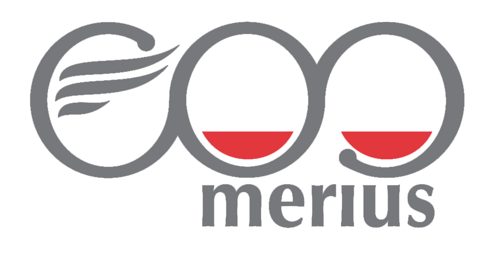 Merius DEVELOPMENT